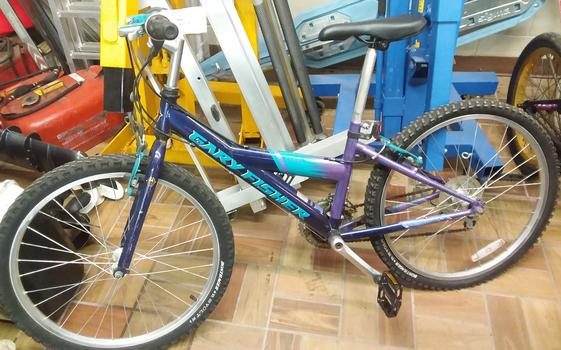 Gary Fisher Bike $100