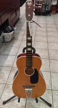 Stella Harmony F-67 $250